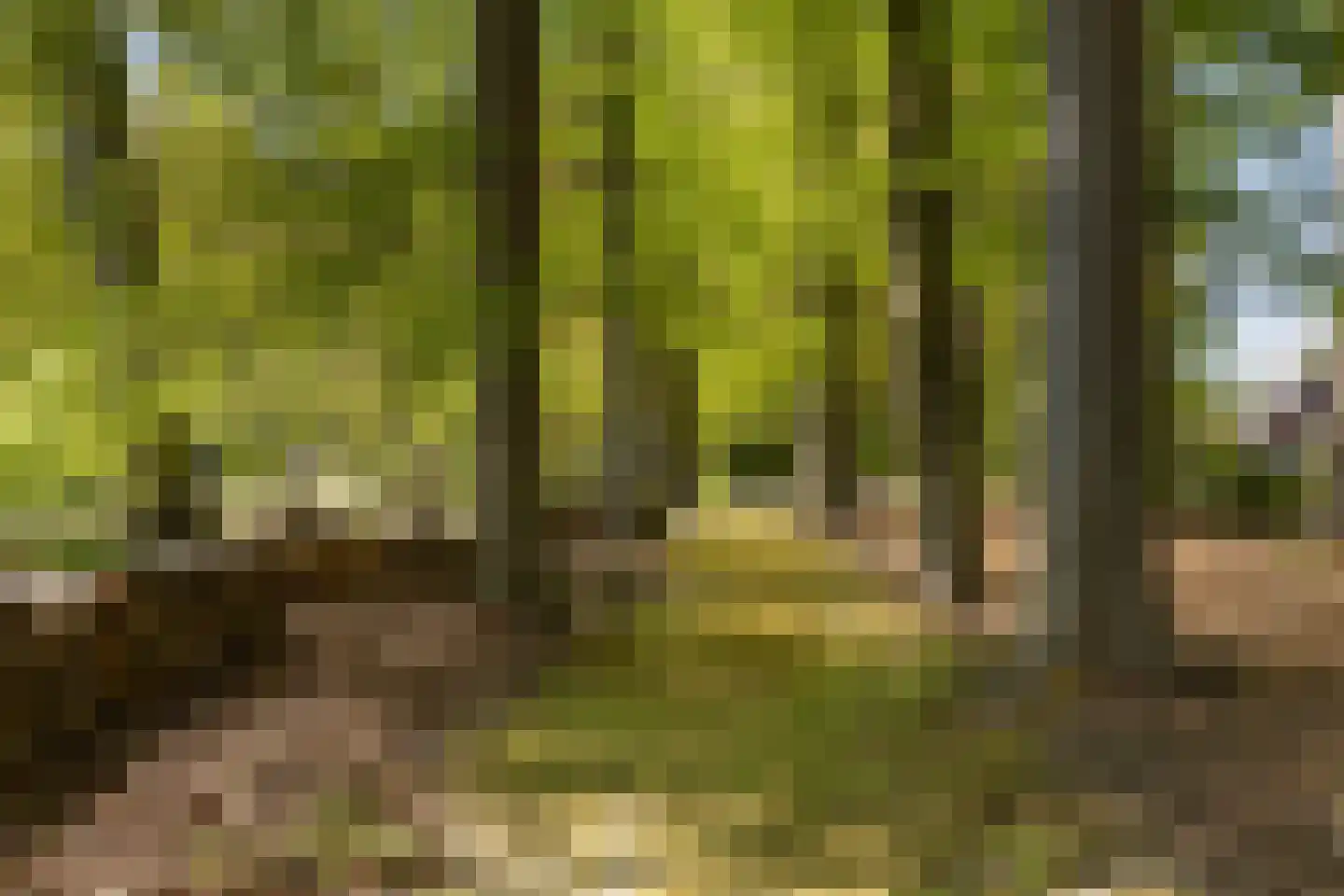 Klein Cannenburgh 4 Wenum Wiesel thumbnail 98