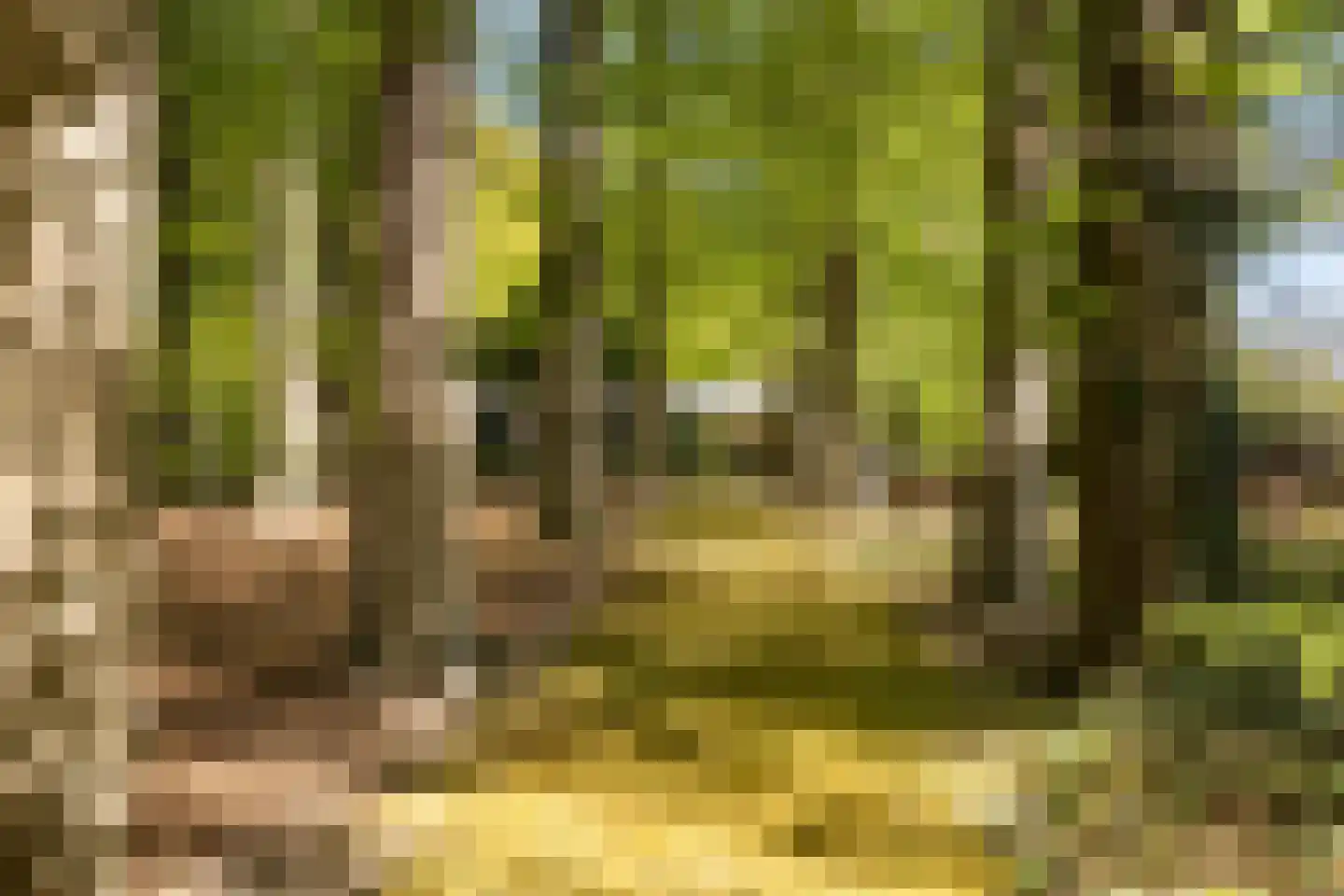 Klein Cannenburgh 4 Wenum Wiesel thumbnail 99
