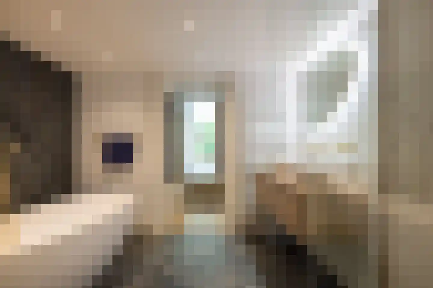 Klein-Coolstraat 34 A Rotterdam thumbnail 24