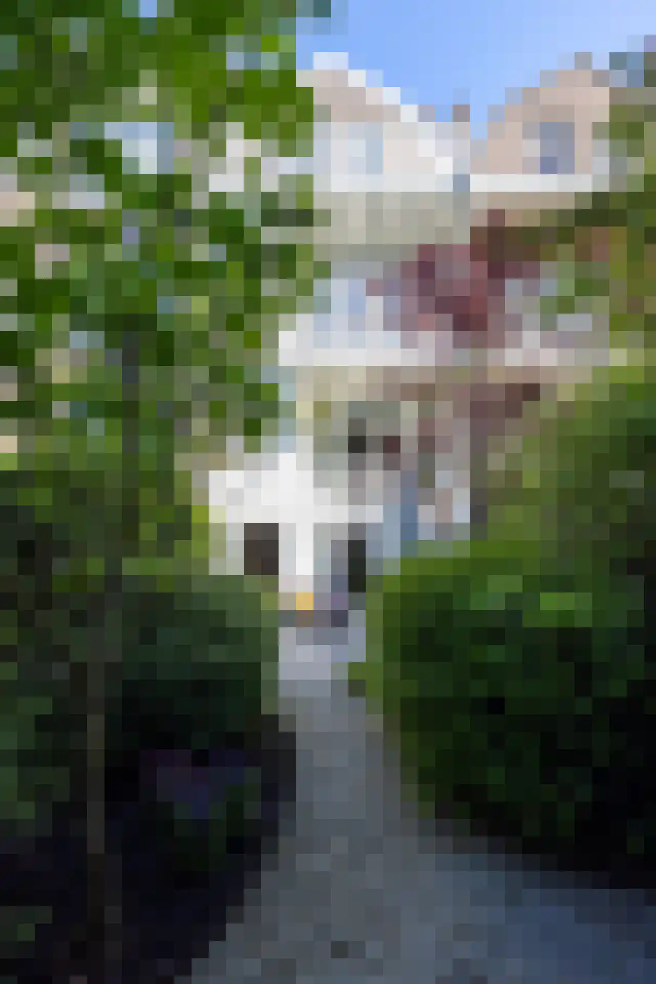 Klein-Coolstraat 34 A Rotterdam thumbnail 30