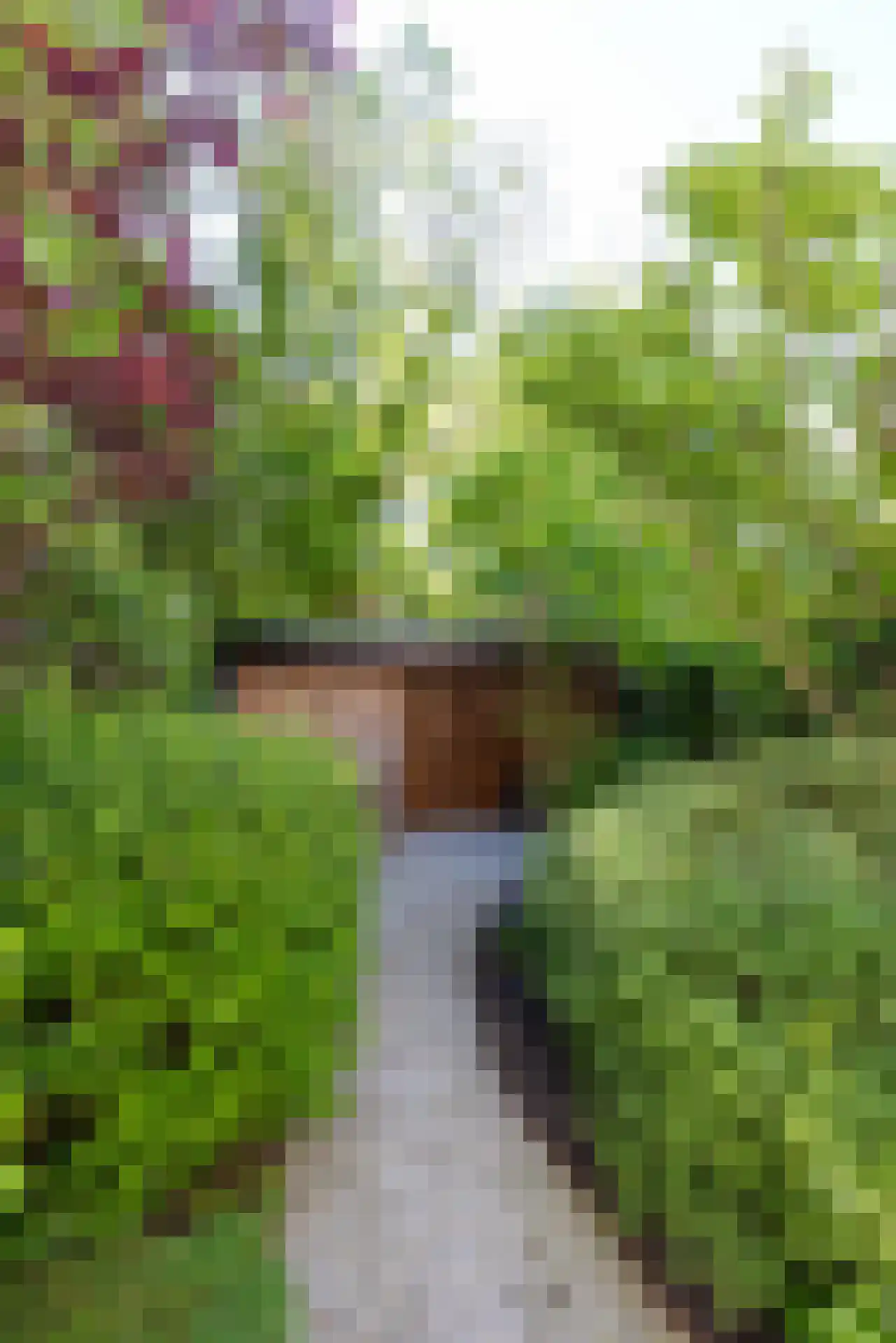 Klein-Coolstraat 34 A Rotterdam thumbnail 33