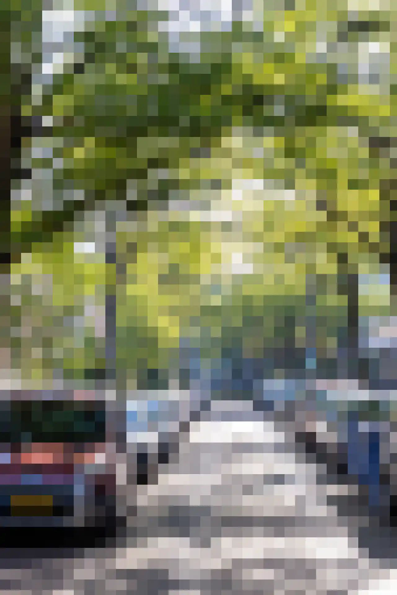 Klein-Coolstraat 34 A Rotterdam thumbnail 36