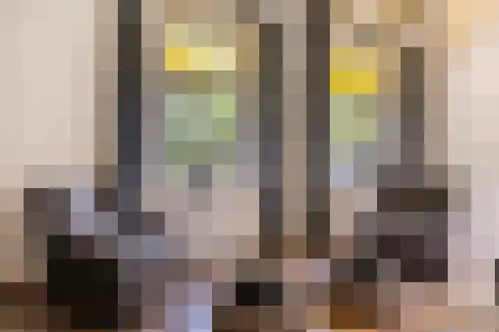Klein Delfgauw 57 Delft thumbnail 11