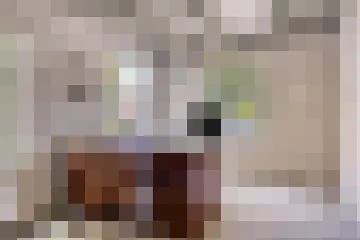 Klein Delfgauw 57 Delft thumbnail 14