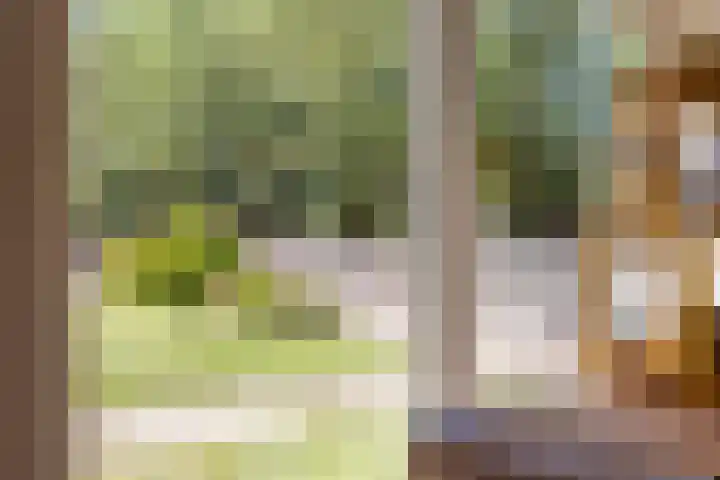 Klein Delfgauw 57 Delft thumbnail 22