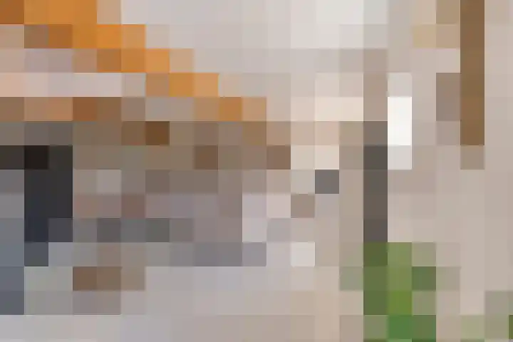 Klein Delfgauw 57 Delft thumbnail 29