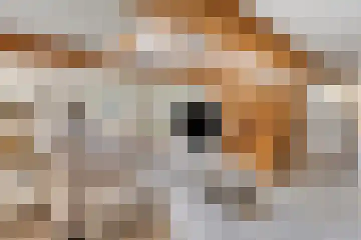 Klein Delfgauw 57 Delft thumbnail 32