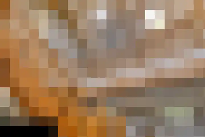 Klein Delfgauw 57 Delft thumbnail 34
