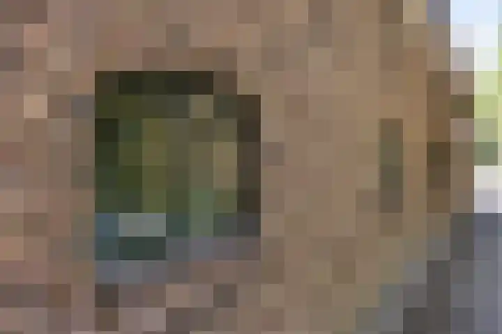 Klein Delfgauw 57 Delft thumbnail 38