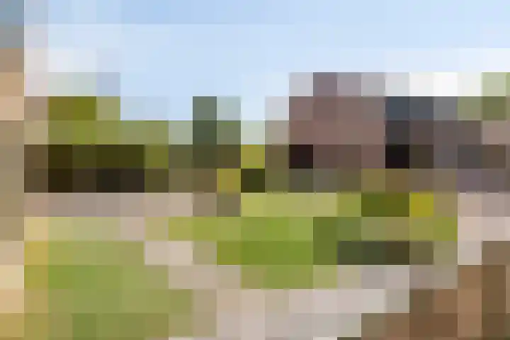 Klein Delfgauw 57 Delft thumbnail 43