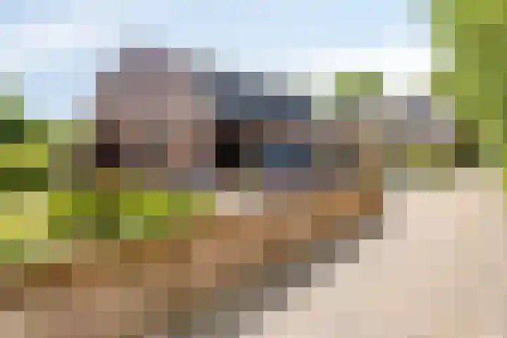 Klein Delfgauw 57 Delft thumbnail 44