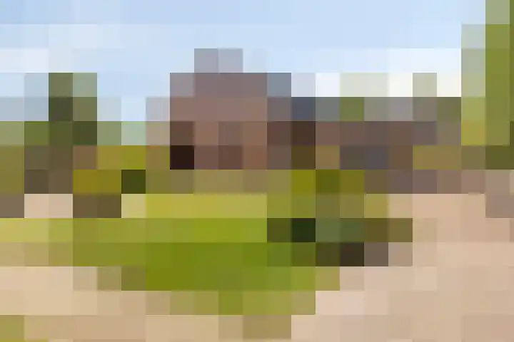 Klein Delfgauw 57 Delft thumbnail 46