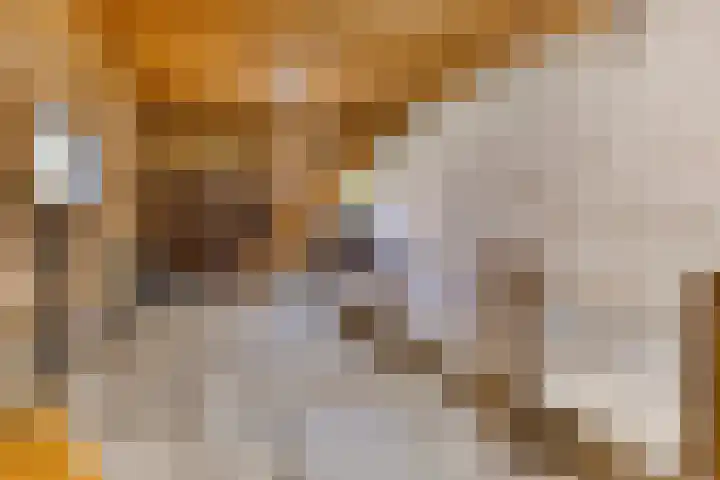 Klein Delfgauw 57 Delft thumbnail 51