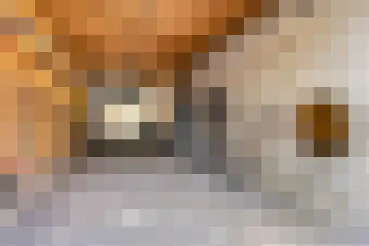 Klein Delfgauw 57 Delft thumbnail 52