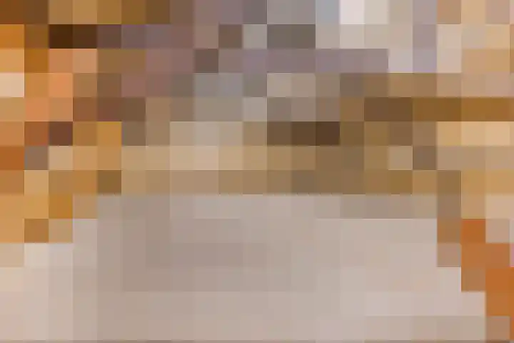 Klein Delfgauw 57 Delft thumbnail 54