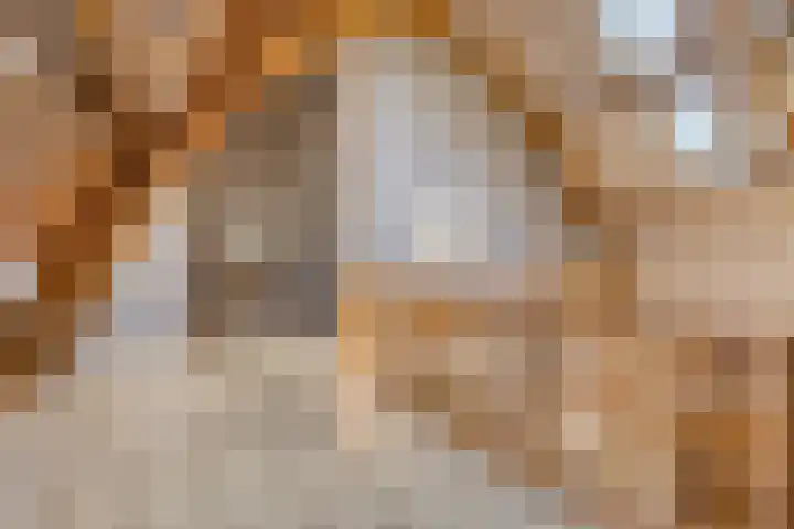 Klein Delfgauw 57 Delft thumbnail 57