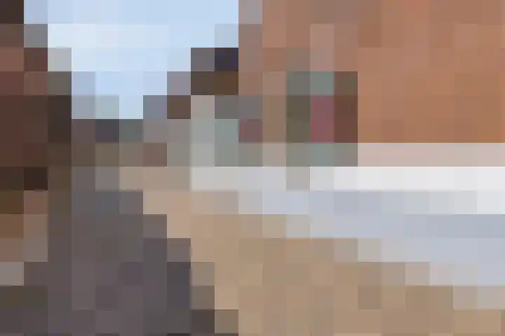 Klein Delfgauw 57 Delft thumbnail 6