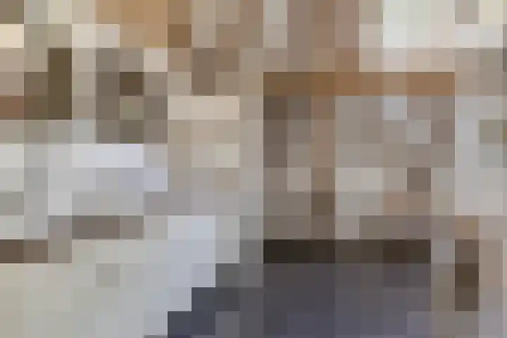 Klein Delfgauw 57 Delft thumbnail 63