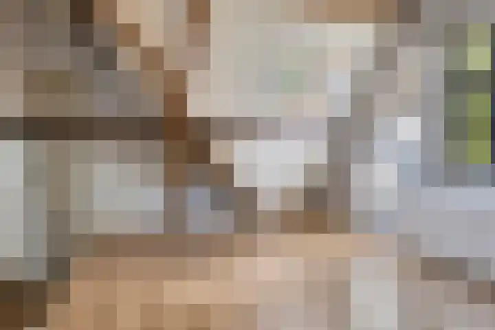 Klein Delfgauw 57 Delft thumbnail 73