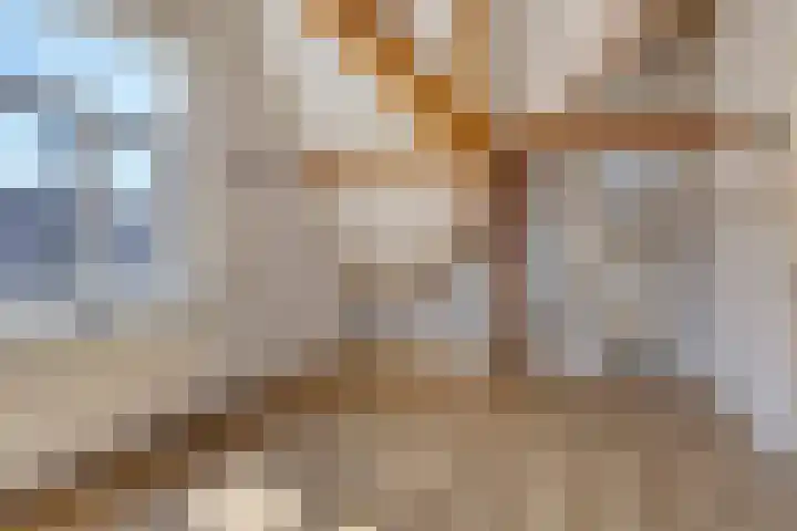 Klein Delfgauw 57 Delft thumbnail 76