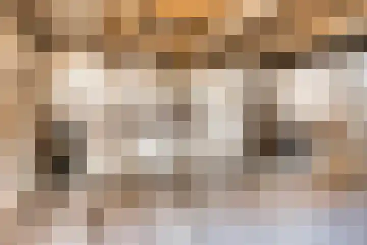 Klein Delfgauw 57 Delft thumbnail 82
