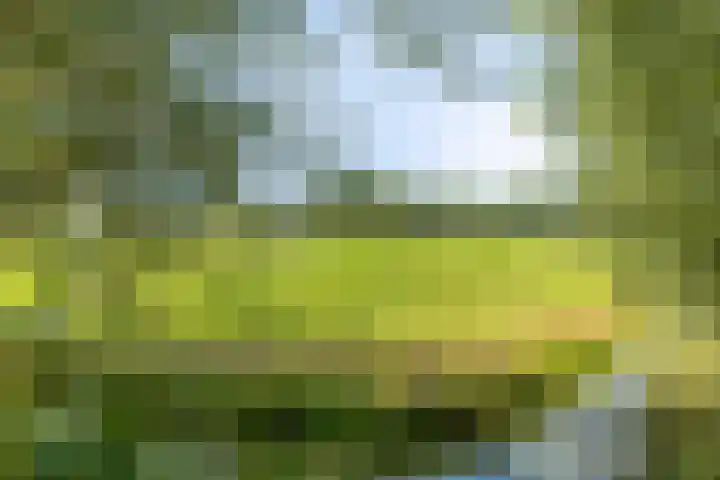 Klein Delfgauw 57 Delft thumbnail 85