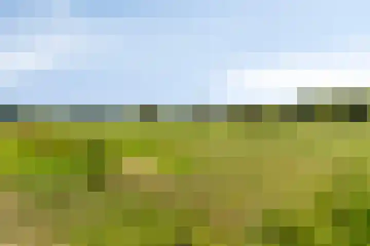 Klein Delfgauw 57 Delft thumbnail 87