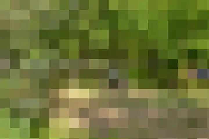 Klein Delfgauw 57 Delft thumbnail 88