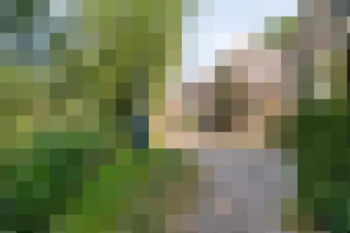 Klein Delfgauw 57 Delft thumbnail 91
