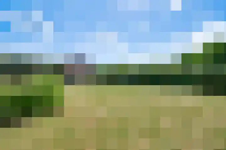 Klein-Doenraderweg 6 Oirsbeek thumbnail 29