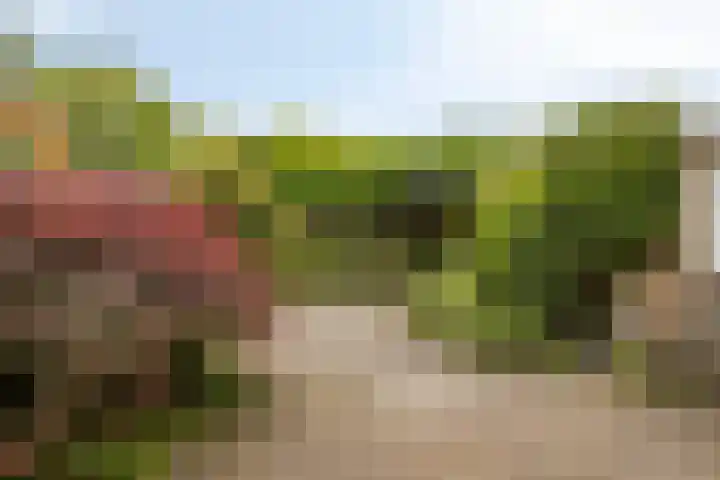 Klein Doesburg 28 Heerde thumbnail 20