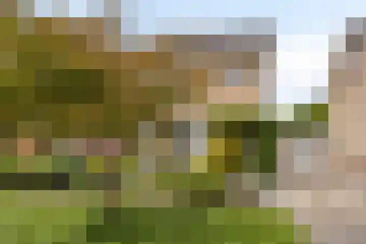 Klein Doesburg 28 Heerde thumbnail 23