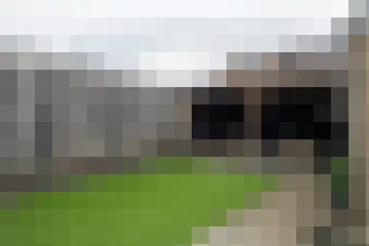 Klein Doesburg 3 Heerde thumbnail 38