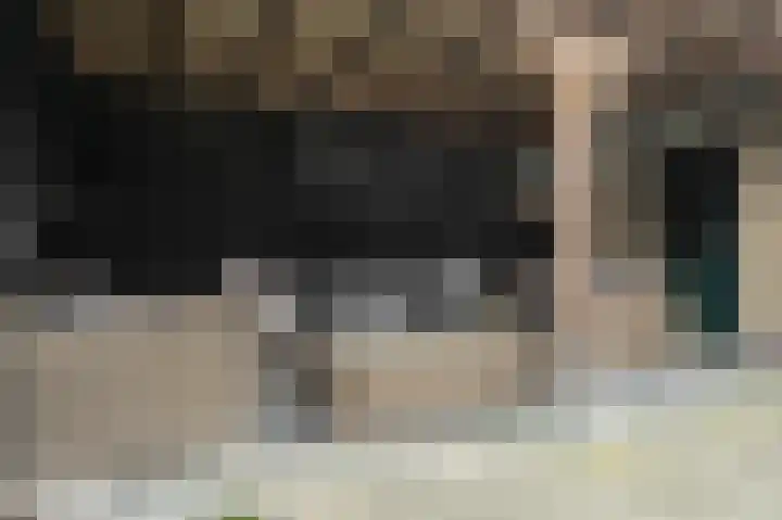 Klein Doesburg 3 Heerde thumbnail 39