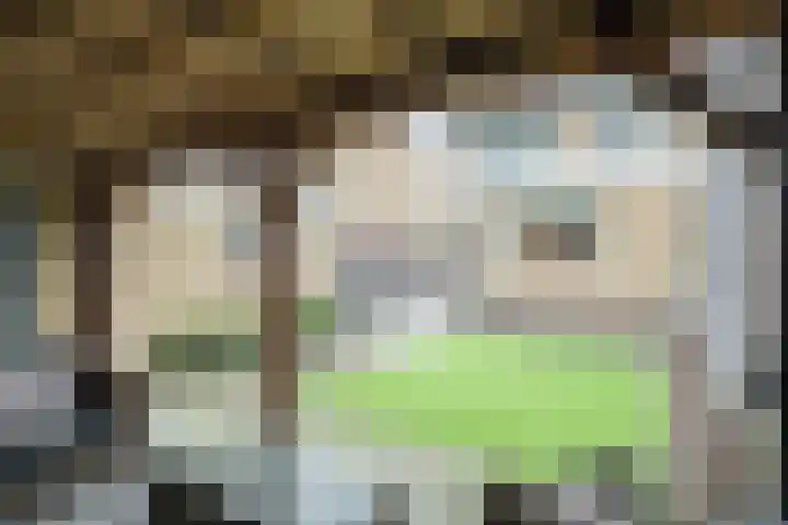 Klein Doesburg 3 Heerde thumbnail 40