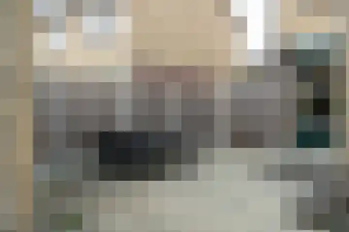Klein Doesburg 3 Heerde thumbnail 41