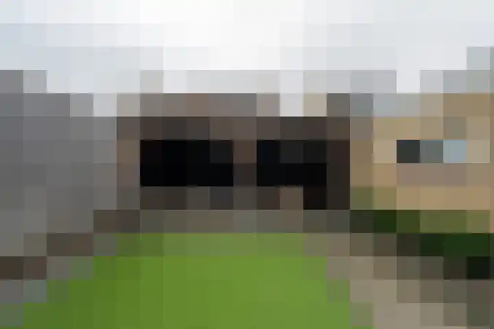 Klein Doesburg 3 Heerde thumbnail 5