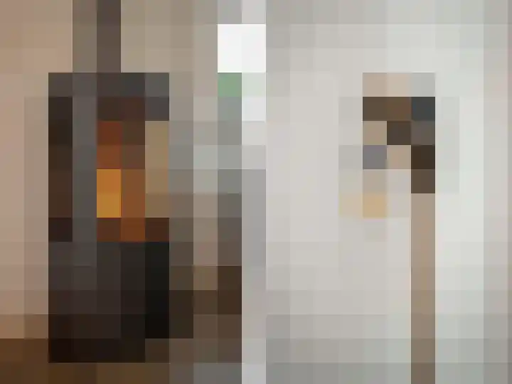 Klein Doesburg 3 Heerde thumbnail 8