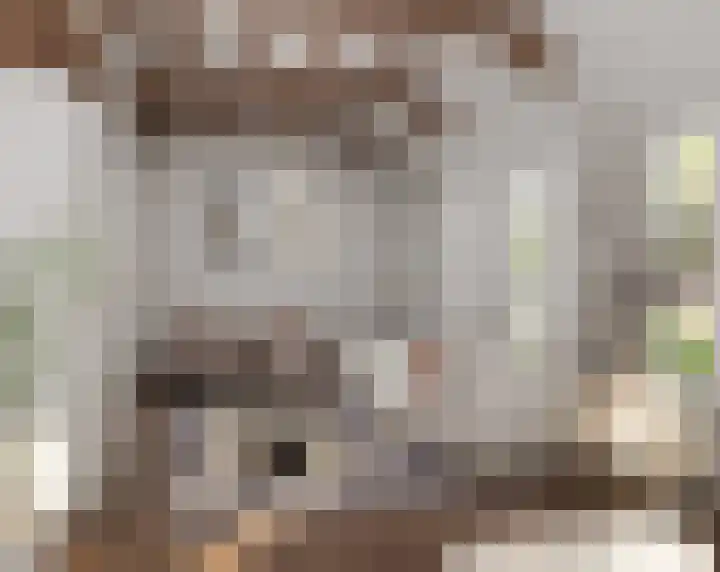 Klein Dorregeest 6 Akersloot thumbnail 13