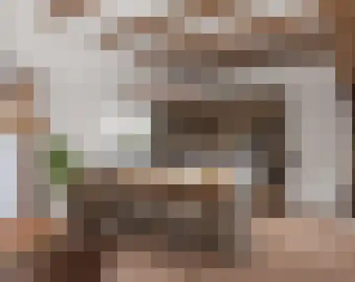 Klein Dorregeest 6 Akersloot thumbnail 16