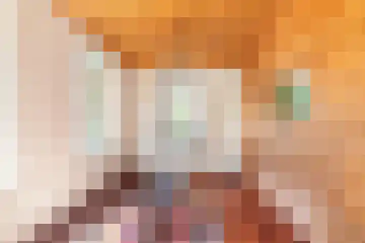 Klein Dorregeest 6 Akersloot thumbnail 22