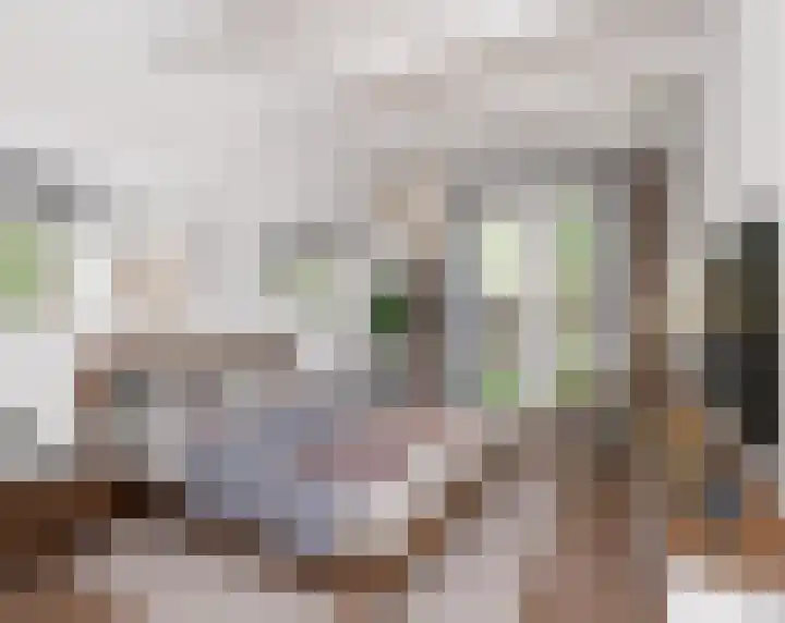 Klein Dorregeest 6 Akersloot thumbnail 33