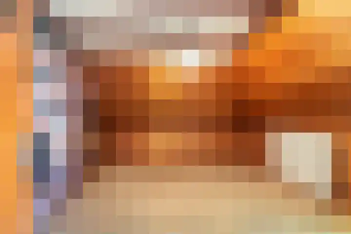 Klein Dorregeest 6 Akersloot thumbnail 38