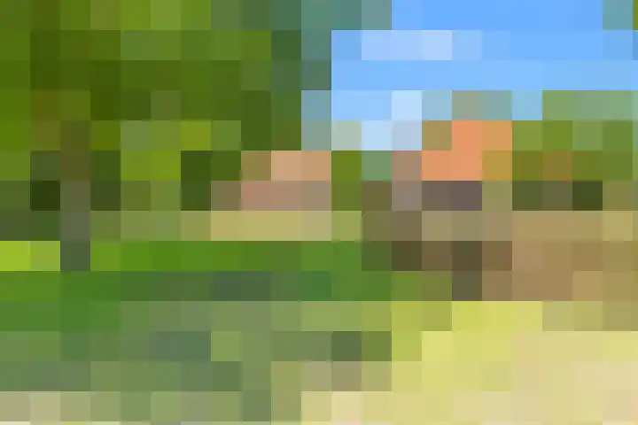 Klein Dorregeest 6 Akersloot thumbnail 4