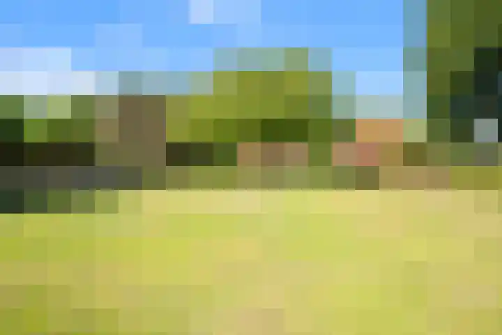 Klein Dorregeest 6 Akersloot thumbnail 47