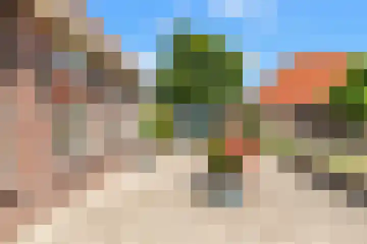 Klein Dorregeest 6 Akersloot thumbnail 53