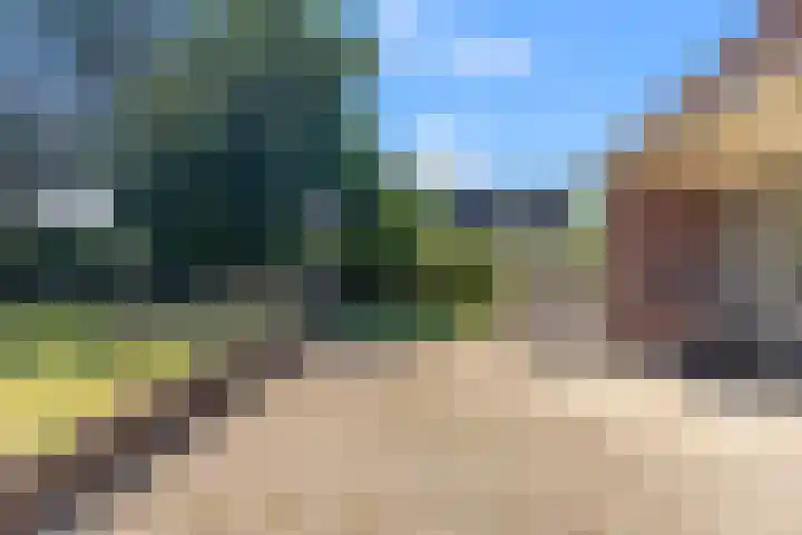 Klein Dorregeest 6 Akersloot thumbnail 54
