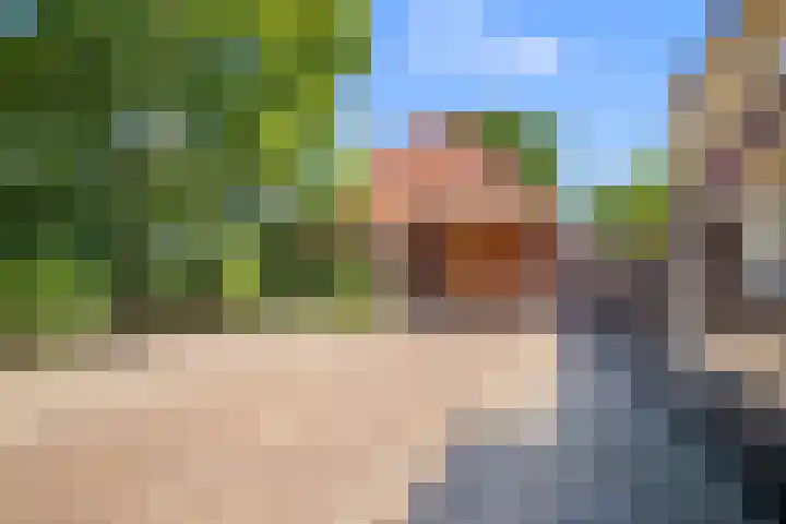 Klein Dorregeest 6 Akersloot thumbnail 57