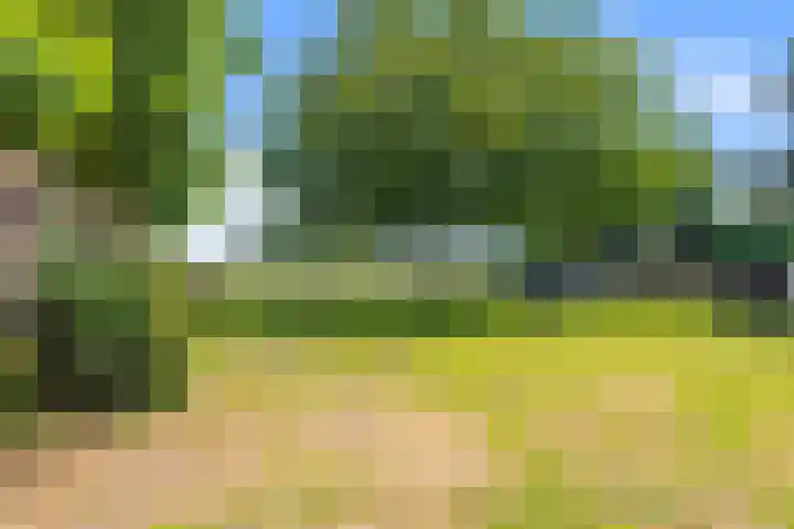 Klein Dorregeest 6 Akersloot thumbnail 61