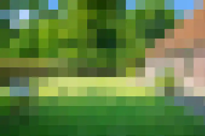 Klein Dorregeest 6 Akersloot thumbnail 62